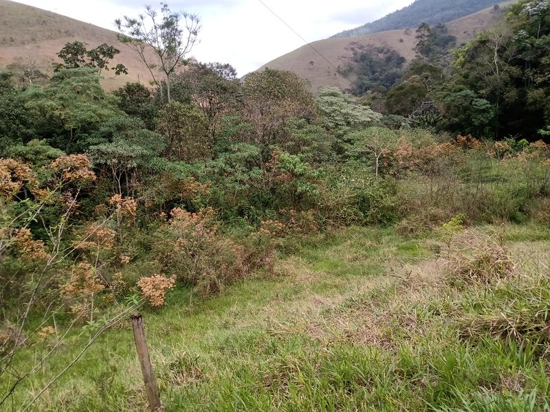 ÁREA RURAL COM 30.000 METROS EM SÃO FRANCISCO XAVIER - SAO FRANCISCO - 