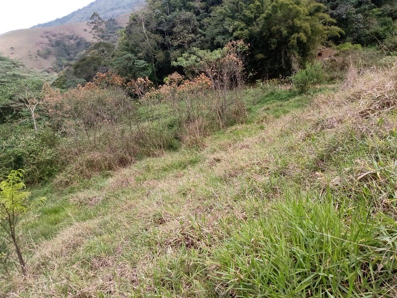 ÁREA RURAL COM 30.000 METROS EM SÃO FRANCISCO XAVIER - SAO FRANCISCO - 