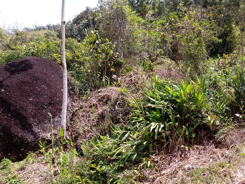 ÁREA RURAL COM 30.000 METROS EM SÃO FRANCISCO XAVIER - SAO FRANCISCO - 