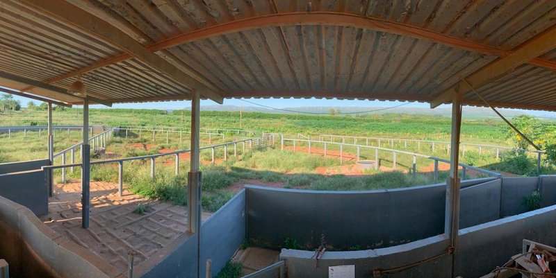 FAZENDA COM 7.183 HACTARES NA REGIÃO DE PATOS DE MINAS, MG - Patos de Minas - 