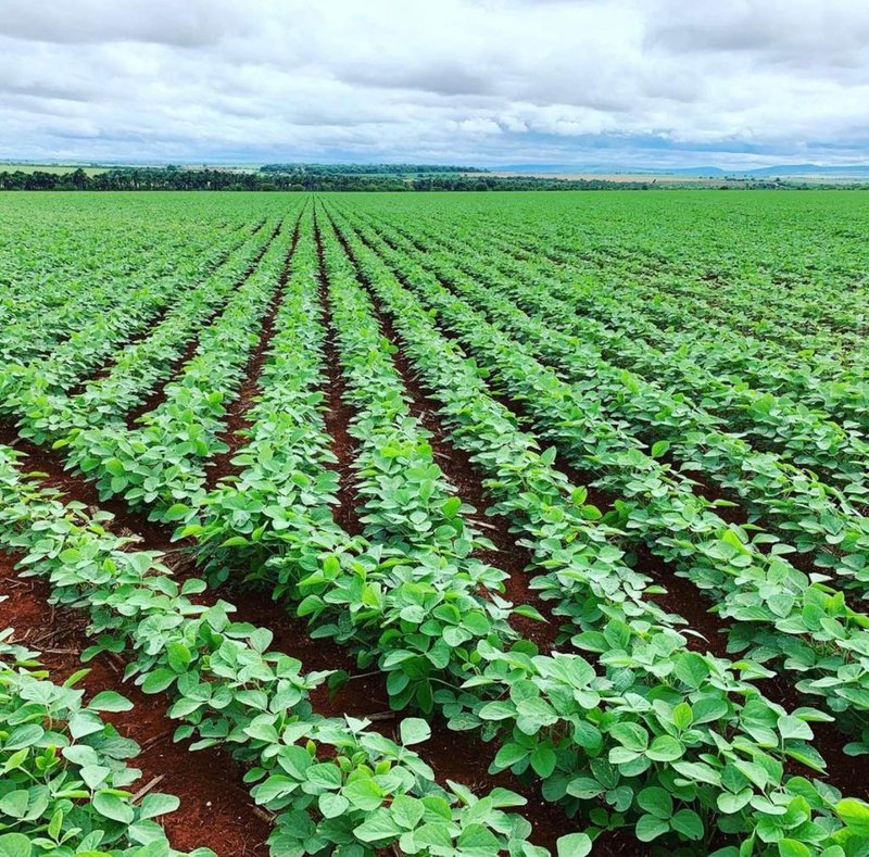 FAZENDA COM 7.183 HACTARES NA REGIÃO DE PATOS DE MINAS, MG - Patos de Minas - 