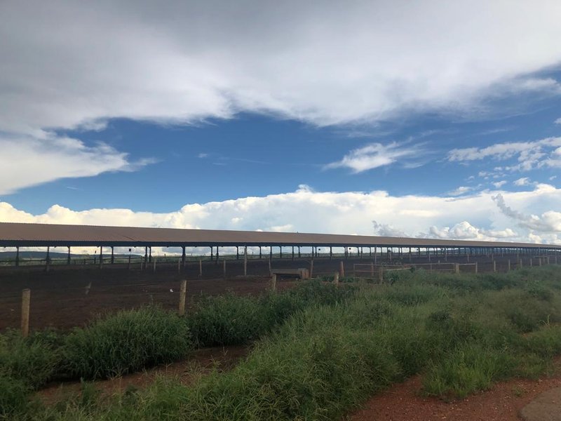 FAZENDA COM 7.183 HACTARES NA REGIÃO DE PATOS DE MINAS, MG - Patos de Minas - 