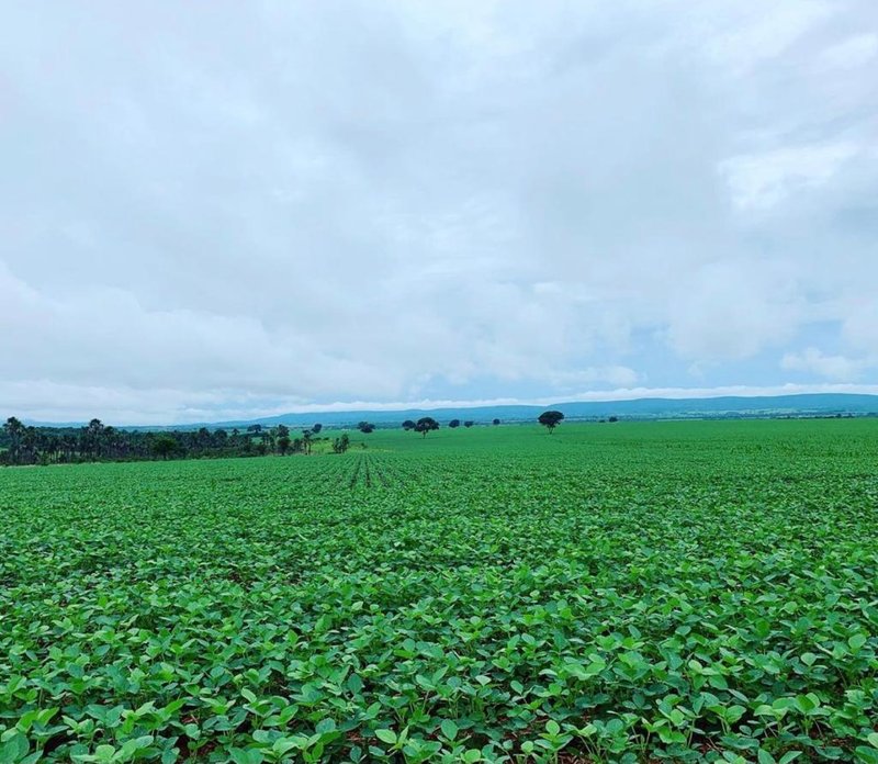 FAZENDA COM 7.183 HACTARES NA REGIÃO DE PATOS DE MINAS, MG - Patos de Minas - 