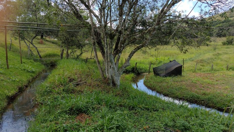 CHÁCARA COM 13.330 EM VIRGÍNIA COM BELA VISTA PRA SERRA, MG - VIRGINIA - 