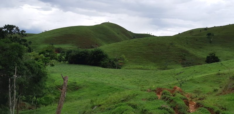 FAZENDA COM 110 HECTARES EM JACAREÍ, S.P - Jacareí - 