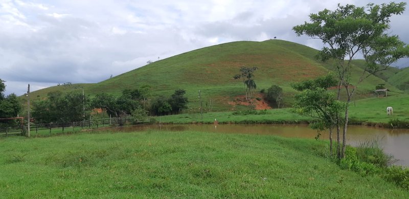 FAZENDA COM 110 HECTARES EM JACAREÍ, S.P - Jacareí - 