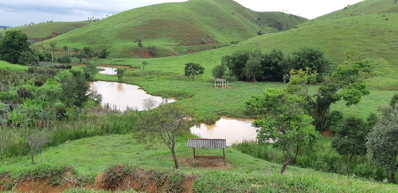 FAZENDA COM 110 HECTARES EM JACAREÍ, S.P - Jacareí - 