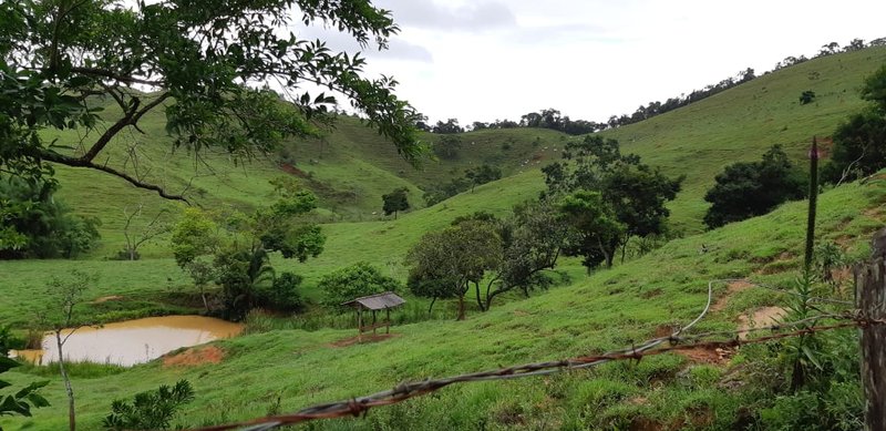 FAZENDA COM 110 HECTARES EM JACAREÍ, S.P - Jacareí - 
