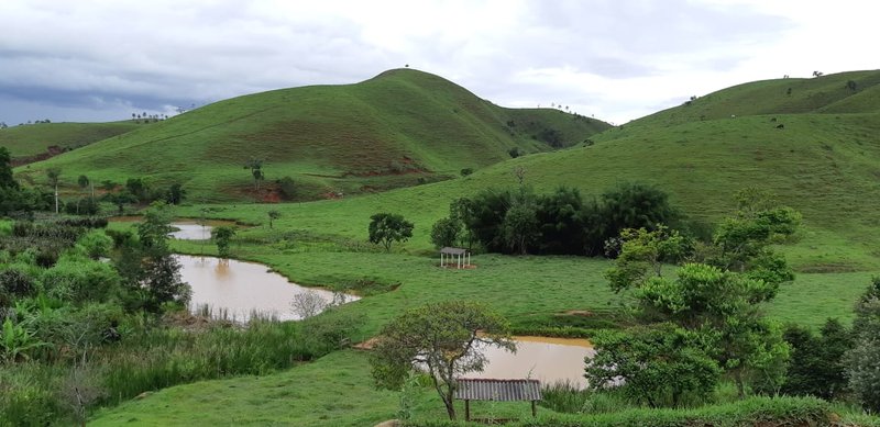 FAZENDA COM 110 HECTARES EM JACAREÍ, S.P - Jacareí - 