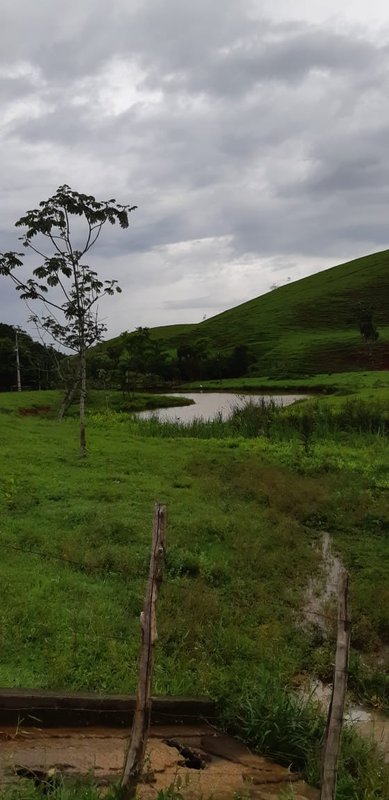 FAZENDA COM 110 HECTARES EM JACAREÍ, S.P - Jacareí - 