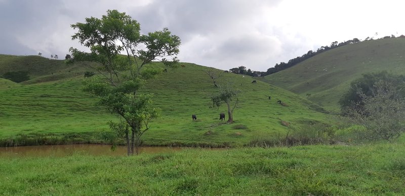 FAZENDA COM 110 HECTARES EM JACAREÍ, S.P - Jacareí - 