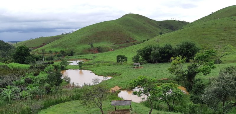 FAZENDA COM 110 HECTARES EM JACAREÍ, S.P - Jacareí - 