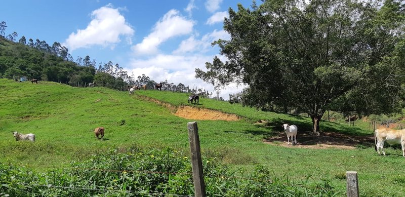 FAZENDA COM 110 HECTARES EM JACAREÍ, S.P - Jacareí - 