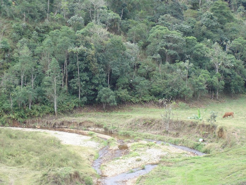 FAZENDA CENTENÁRIA COM 64 ALQUEIRES EM LORENA, S.P - Lorena - 