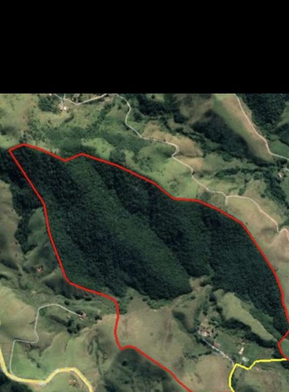 FAZENDA CENTENÁRIA COM 64 ALQUEIRES EM LORENA, S.P - Lorena - 