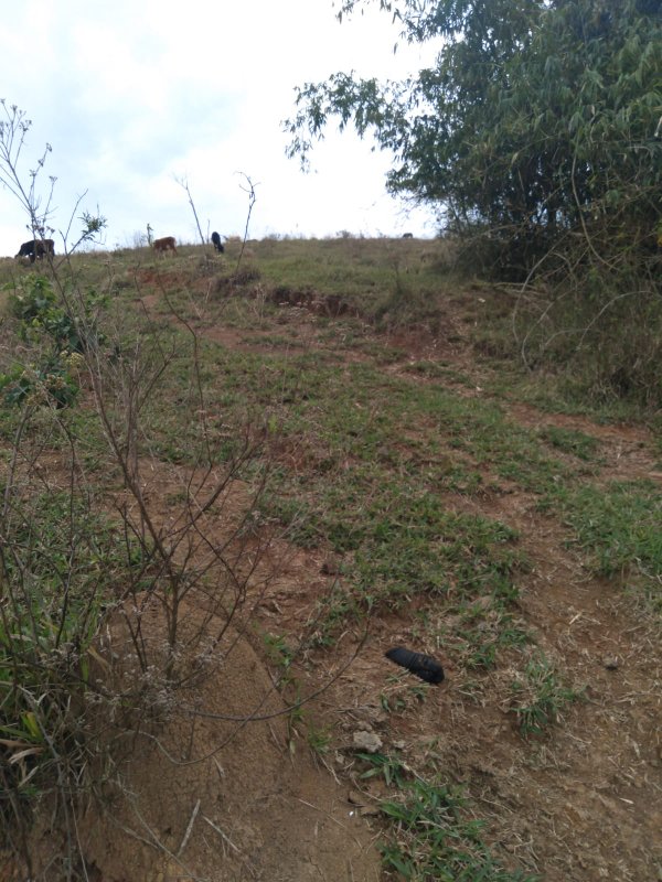 ÁREA RURAL COM 2 HECTARES EM SÃO JOSÉ DOS CAMPOS, S.P - São José dos Campos - 