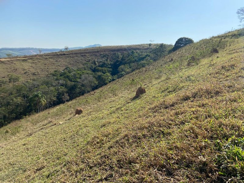 ÁREA RURAL COM 2 HECTARES EM SÃO JOSÉ DOS CAMPOS, S.P - São José dos Campos - 