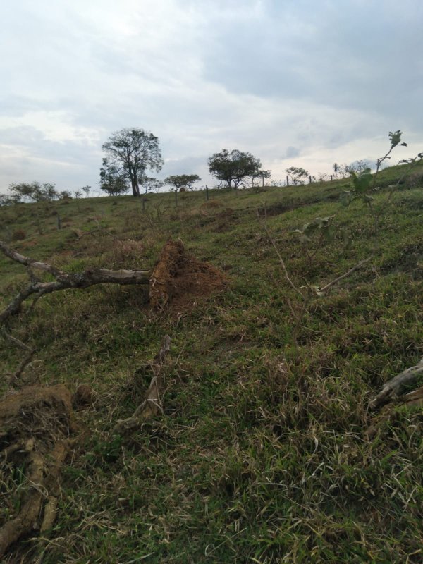 ÁREA RURAL COM 2 HECTARES EM SÃO JOSÉ DOS CAMPOS, S.P - São José dos Campos - 