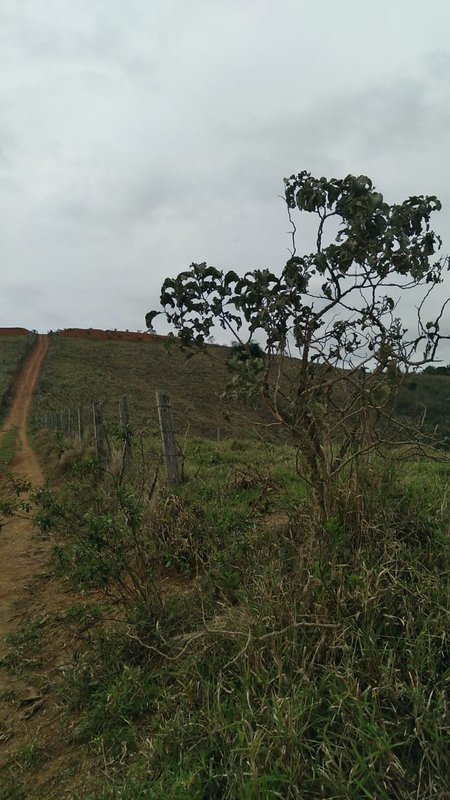 ÁREA RURAL COM 2 HECTARES EM SÃO JOSÉ DOS CAMPOS, S.P - São José dos Campos - 
