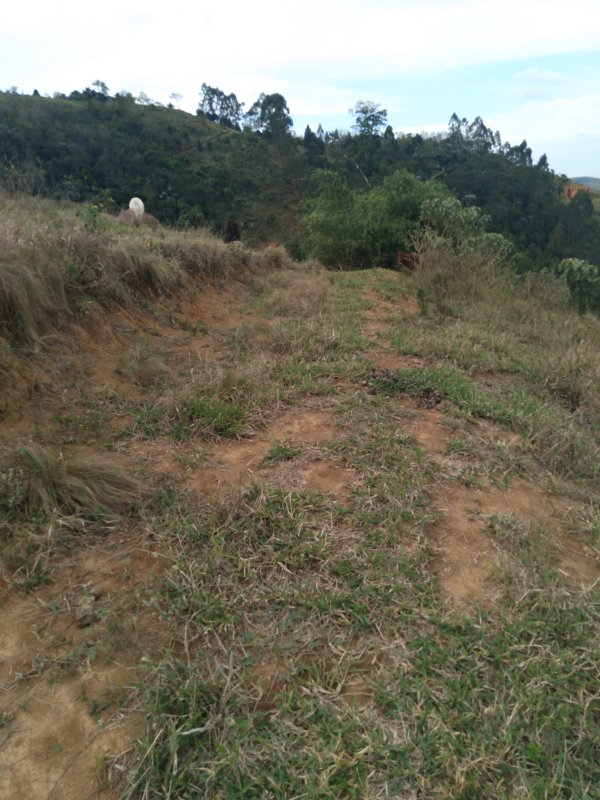 ÁREA RURAL COM 2 HECTARES EM SÃO JOSÉ DOS CAMPOS, S.P - São José dos Campos - 