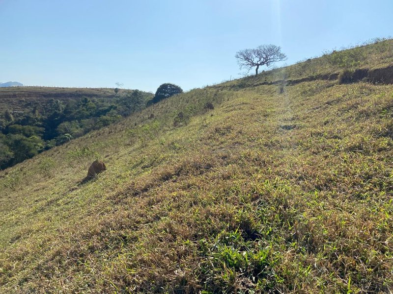 ÁREA RURAL COM 2 HECTARES EM SÃO JOSÉ DOS CAMPOS, S.P - São José dos Campos - 