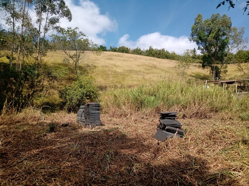 SÍTIO E POUSADA COM 5.5 ALQUEIRES EM JAMBEIRO - JAMBEIRO - 