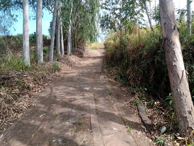 SÍTIO E POUSADA COM 5.5 ALQUEIRES EM JAMBEIRO - JAMBEIRO - 