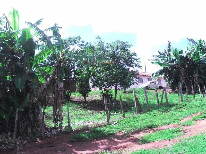 SÍTIO COM 16 ALQUEIRES EM sede SILVINÓPOLIS, M.G - SILVIANOPOLIS - 