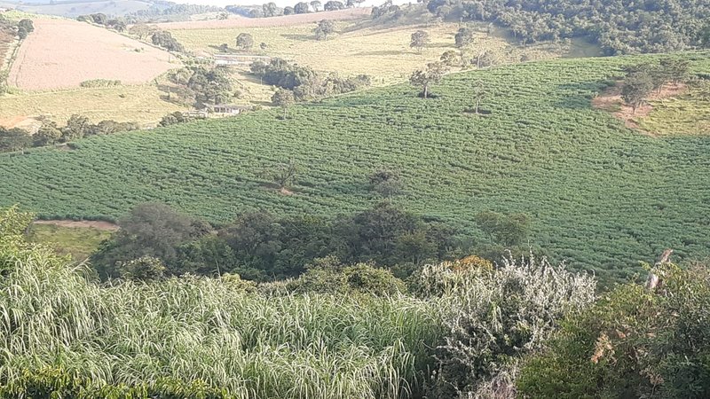 SÍTIO COM 16 ALQUEIRES EM sede SILVINÓPOLIS, M.G - SILVIANOPOLIS - 