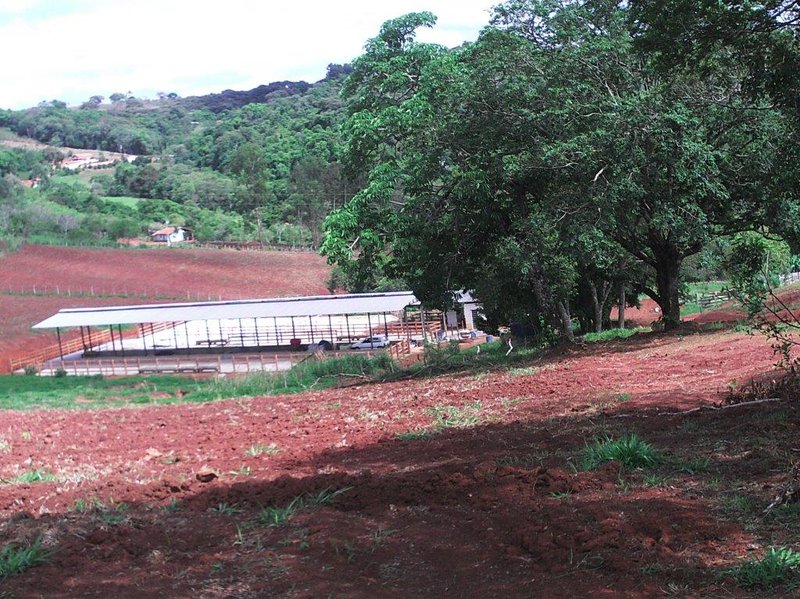 SÍTIO COM 16 ALQUEIRES EM sede SILVINÓPOLIS, M.G - SILVIANOPOLIS - 