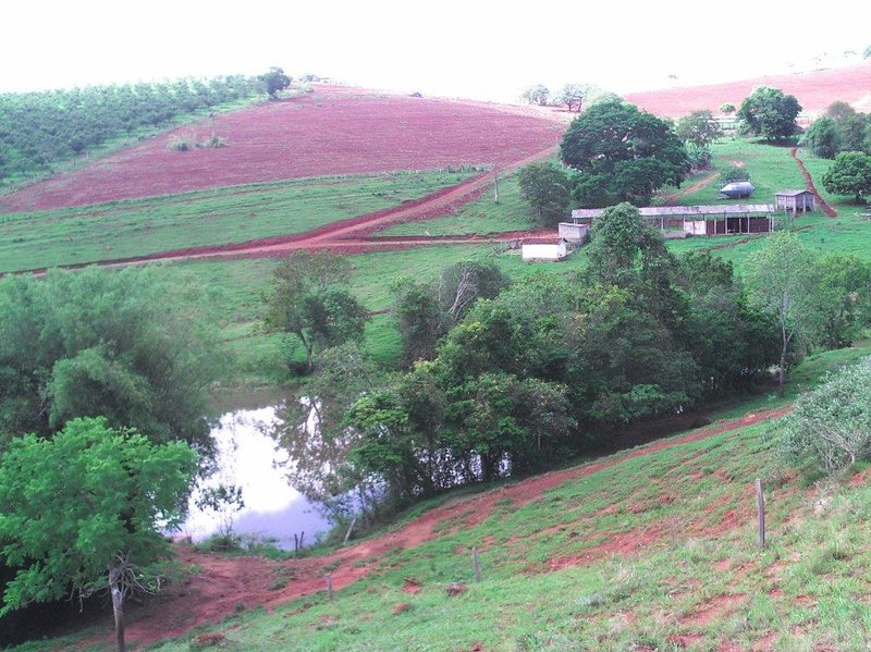 SÍTIO COM 16 ALQUEIRES EM sede SILVINÓPOLIS, M.G - SILVIANOPOLIS - 