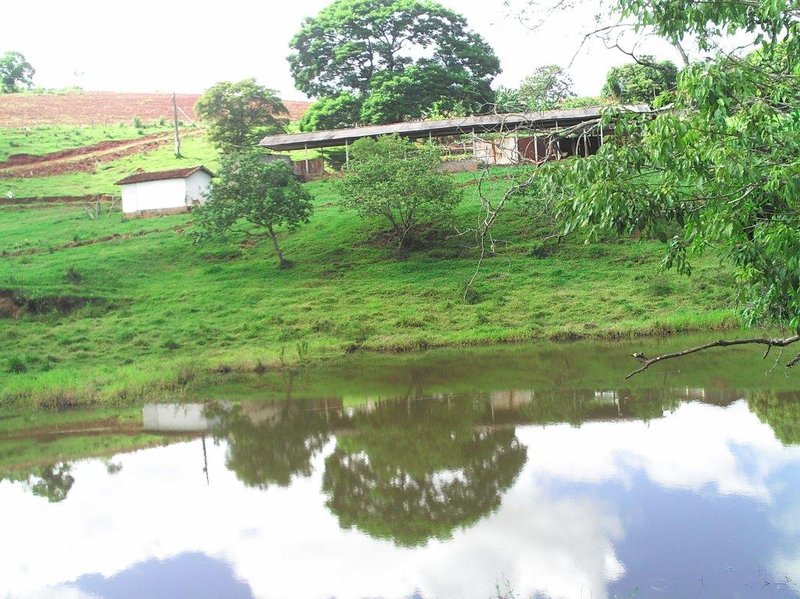 SÍTIO COM 16 ALQUEIRES EM sede SILVINÓPOLIS, M.G - SILVIANOPOLIS - 