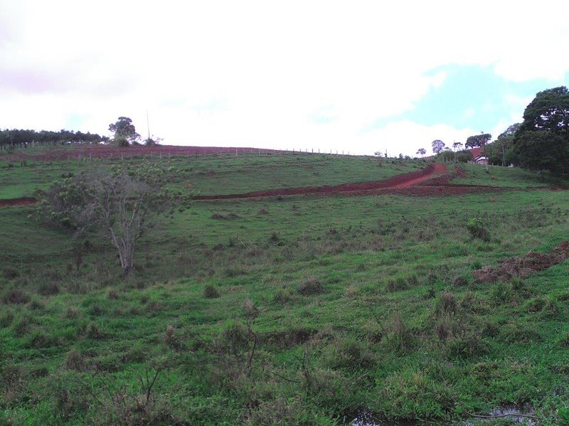 SÍTIO COM 16 ALQUEIRES EM sede SILVINÓPOLIS, M.G - SILVIANOPOLIS - 