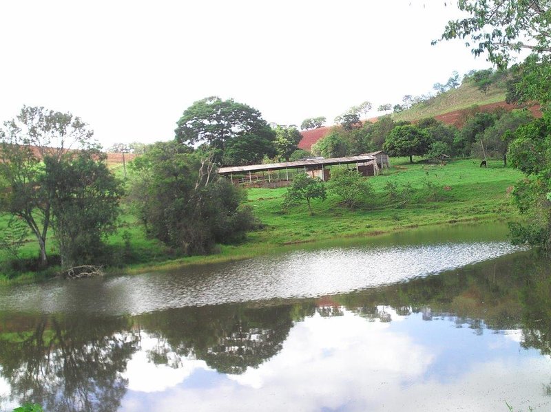 SÍTIO COM 16 ALQUEIRES EM sede SILVINÓPOLIS, M.G - SILVIANOPOLIS - 