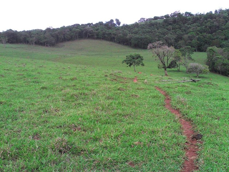SÍTIO COM 16 ALQUEIRES EM sede SILVINÓPOLIS, M.G - SILVIANOPOLIS - 