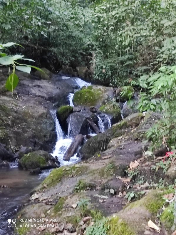 SÍTIO COM 5.9 HECTARES EM SÃO FRANCISCO XAVIER, S.P - São José dos Campos - 