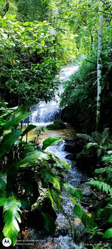 SÍTIO COM 5.9 HECTARES EM SÃO FRANCISCO XAVIER, S.P - São José dos Campos - 