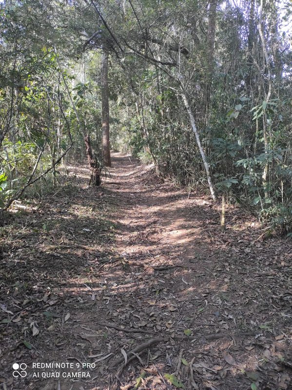 SÍTIO COM 5.9 HECTARES EM SÃO FRANCISCO XAVIER, S.P - São José dos Campos - 