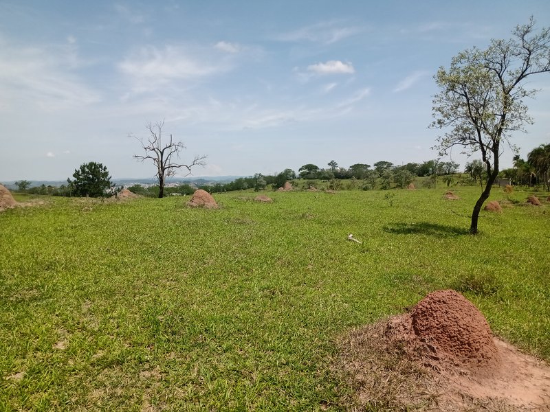 ÁREA PRA INCORPORAÇÃO DE 204.000 METROS EM JACAREÍ, S.P - Jacareí - 