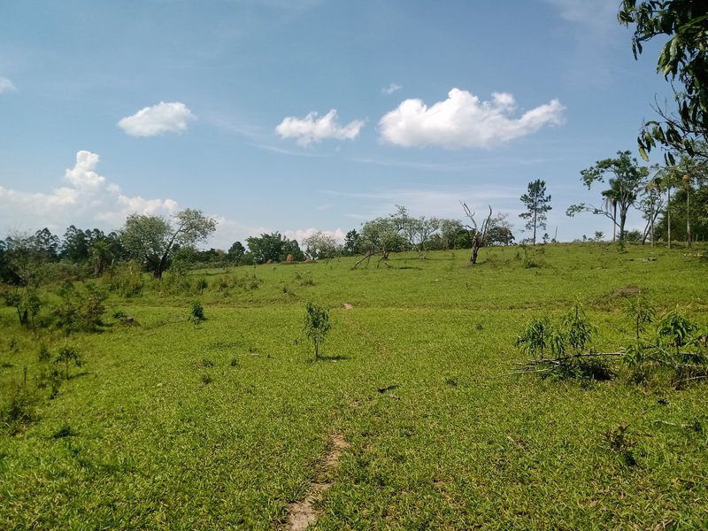 ÁREA PRA INCORPORAÇÃO DE 204.000 METROS EM JACAREÍ, S.P - Jacareí - 