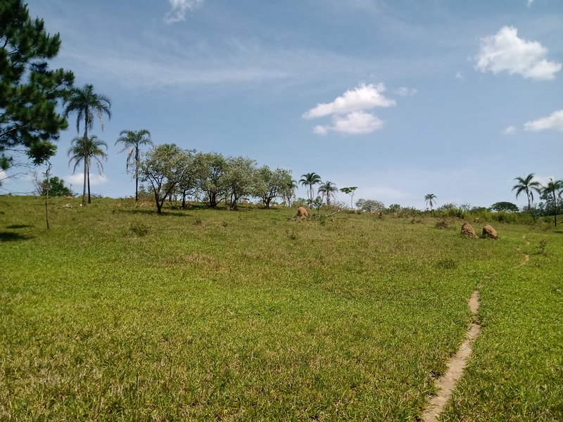 ÁREA PRA INCORPORAÇÃO DE 204.000 METROS EM JACAREÍ, S.P - Jacareí - 