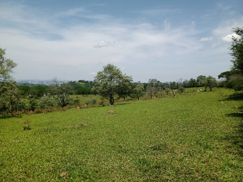 ÁREA PRA INCORPORAÇÃO DE 204.000 METROS EM JACAREÍ, S.P - Jacareí - 