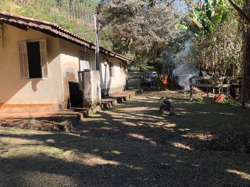 FAZENDA COM 52 ALQUEIRES EM ROSEIRA, S.P - ROSEIRA - 