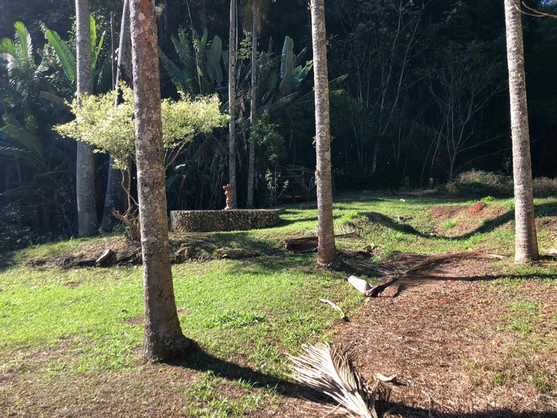 FAZENDA COM 52 ALQUEIRES EM ROSEIRA, S.P - ROSEIRA - 