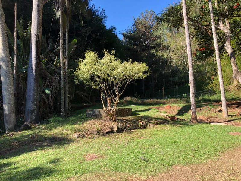 FAZENDA COM 52 ALQUEIRES EM ROSEIRA, S.P - ROSEIRA - 