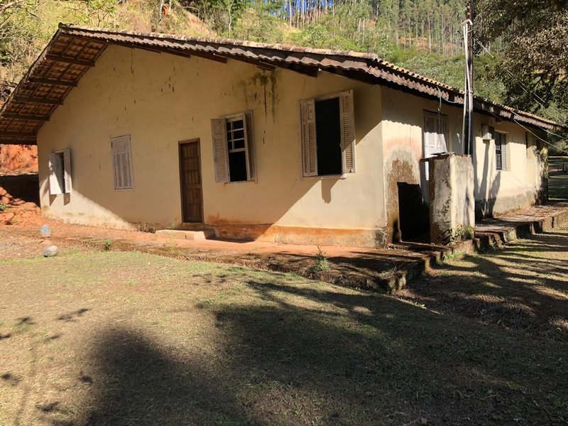 FAZENDA COM 52 ALQUEIRES EM ROSEIRA, S.P - ROSEIRA - 