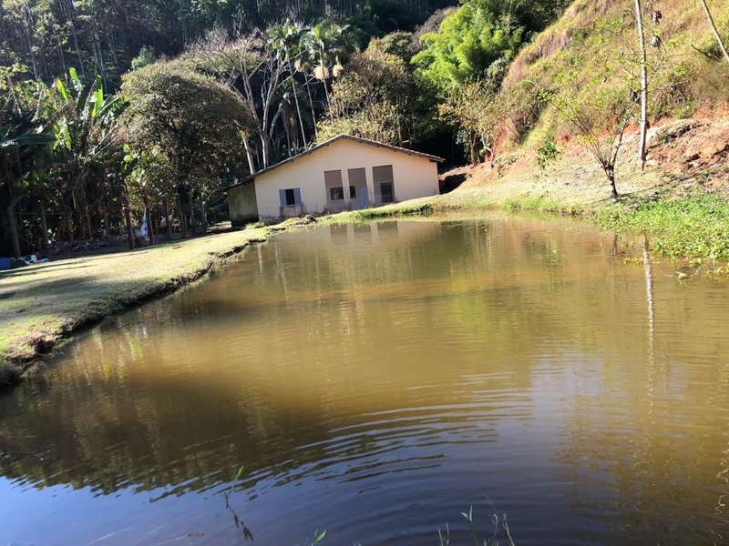 FAZENDA COM 52 ALQUEIRES EM ROSEIRA, S.P - ROSEIRA - 