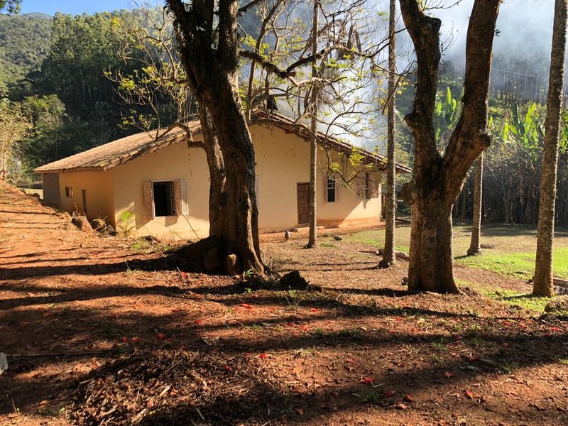 FAZENDA COM 52 ALQUEIRES EM ROSEIRA, S.P - ROSEIRA - 