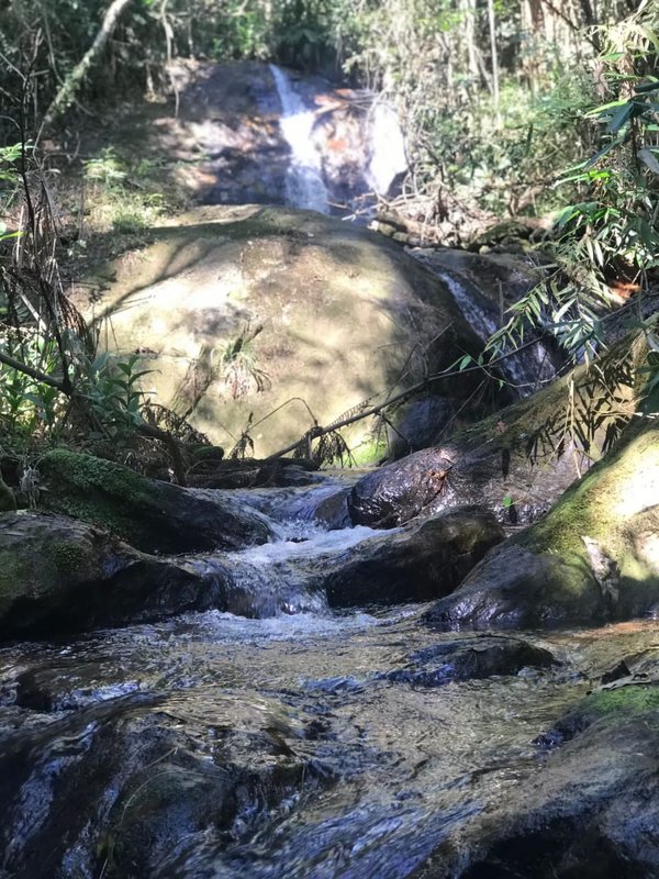 FAZENDA COM 52 ALQUEIRES EM ROSEIRA, S.P - ROSEIRA - 