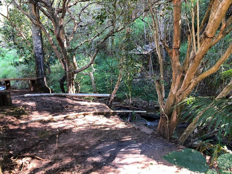 FAZENDA COM 52 ALQUEIRES EM ROSEIRA, S.P - ROSEIRA - 
